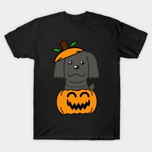 Funny Sheepdog is in a pumpkin T-Shirt